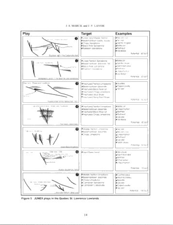 Hydrocarbon Plays in the Quebec St. Lawrence Lowlands: An Overview of the Junex Exploration Effort Page 12