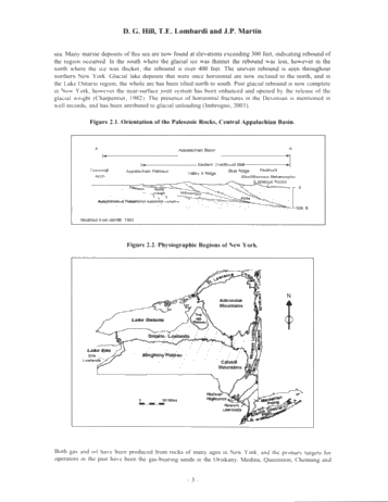 Fractured Shale Gas Potential in New York Page 3