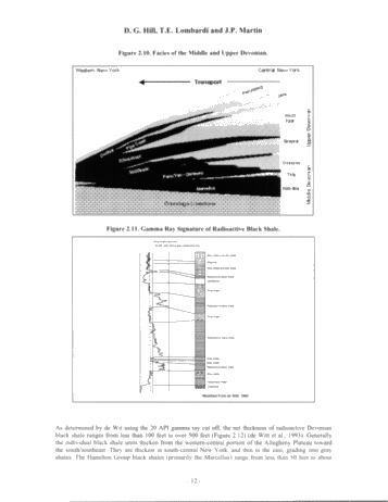 Fractured Shale Gas Potential in New York Page 12