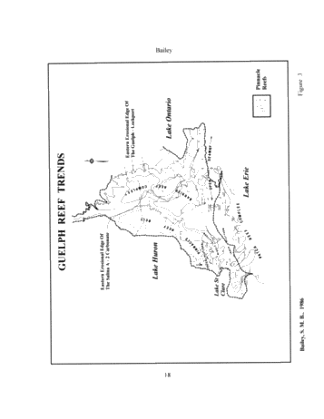 The Geological Implications of Some 3-D 'Fishnet' Seismic Images of Guelph Pinnacle Reefs in Ontario: A Different Perspective on Their Growth, Destruction and Complexity Page 18