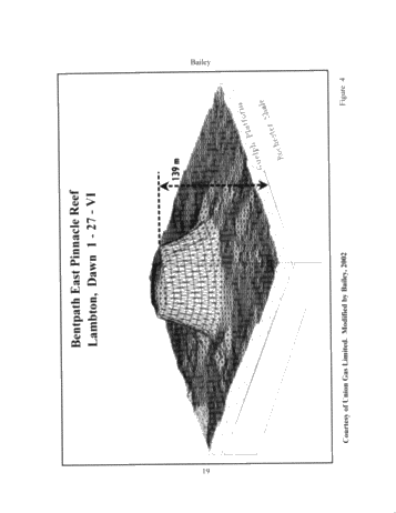 The Geological Implications of Some 3-D 'Fishnet' Seismic Images of Guelph Pinnacle Reefs in Ontario: A Different Perspective on Their Growth, Destruction and Complexity Page 19
