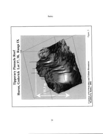 The Geological Implications of Some 3-D 'Fishnet' Seismic Images of Guelph Pinnacle Reefs in Ontario: A Different Perspective on Their Growth, Destruction and Complexity Page 20