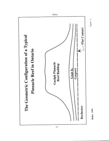 The Geological Implications of Some 3-D 'Fishnet' Seismic Images of Guelph Pinnacle Reefs in Ontario: A Different Perspective on Their Growth, Destruction and Complexity Page 21