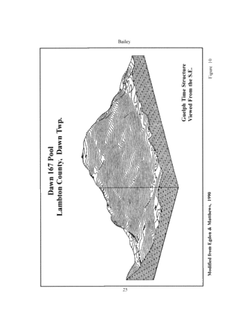 The Geological Implications of Some 3-D 'Fishnet' Seismic Images of Guelph Pinnacle Reefs in Ontario: A Different Perspective on Their Growth, Destruction and Complexity Page 25