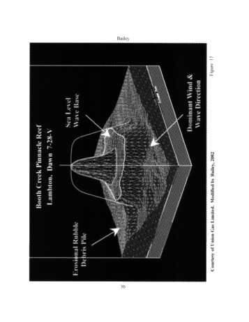 The Geological Implications of Some 3-D 'Fishnet' Seismic Images of Guelph Pinnacle Reefs in Ontario: A Different Perspective on Their Growth, Destruction and Complexity Page 28