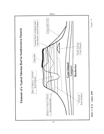 The Geological Implications of Some 3-D 'Fishnet' Seismic Images of Guelph Pinnacle Reefs in Ontario: A Different Perspective on Their Growth, Destruction and Complexity Page 32