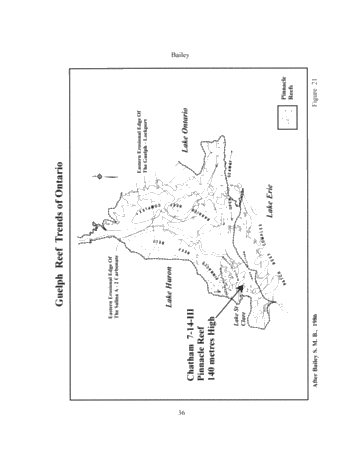 The Geological Implications of Some 3-D 'Fishnet' Seismic Images of Guelph Pinnacle Reefs in Ontario: A Different Perspective on Their Growth, Destruction and Complexity Page 34