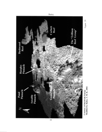 The Geological Implications of Some 3-D 'Fishnet' Seismic Images of Guelph Pinnacle Reefs in Ontario: A Different Perspective on Their Growth, Destruction and Complexity Page 42