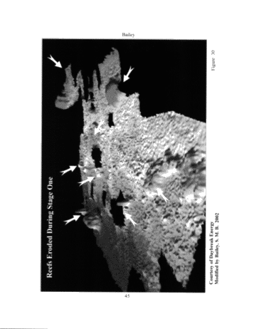 The Geological Implications of Some 3-D 'Fishnet' Seismic Images of Guelph Pinnacle Reefs in Ontario: A Different Perspective on Their Growth, Destruction and Complexity Page 43