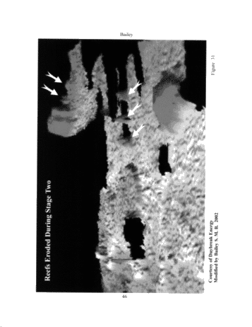 The Geological Implications of Some 3-D 'Fishnet' Seismic Images of Guelph Pinnacle Reefs in Ontario: A Different Perspective on Their Growth, Destruction and Complexity Page 44