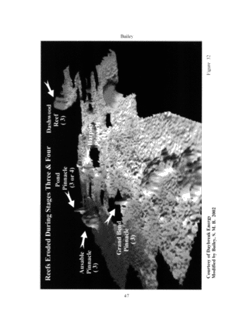 The Geological Implications of Some 3-D 'Fishnet' Seismic Images of Guelph Pinnacle Reefs in Ontario: A Different Perspective on Their Growth, Destruction and Complexity Page 45