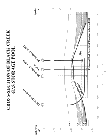 Horizontal Drilling in the Black Creek Storage Pool; A Success Story Page 5