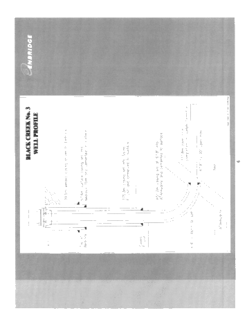 Horizontal Drilling in the Black Creek Storage Pool; A Success Story Page 6