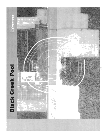 Horizontal Drilling in the Black Creek Storage Pool; A Success Story Page 36
