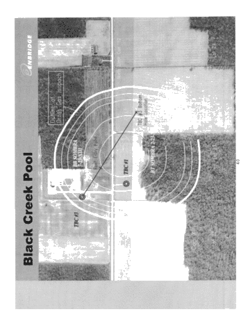 Horizontal Drilling in the Black Creek Storage Pool; A Success Story Page 40