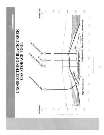 Horizontal Drilling in the Black Creek Storage Pool; A Success Story Page 46