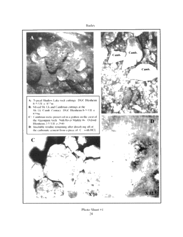 A Geological Model for the Innerkip Gas Pool, Oxford County, Blandford/Blenheim Townships, Ontario Page 28