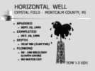 Horizontal Drilling for Oil and Gas in the Michigan Basin Page 10