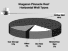 Horizontal Drilling for Oil and Gas in the Michigan Basin Page 14