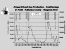 Horizontal Drilling for Oil and Gas in the Michigan Basin Page 15