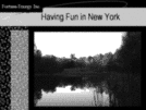 Fortuna Energy Inc. in the U.S.A. Page 26