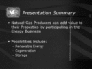 Ontario Natural Gas Producers in the Energy Business - A Northern Cross Perspective Page 2