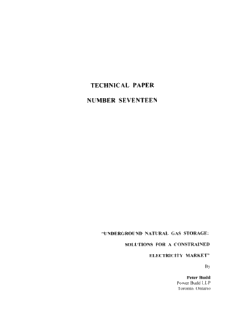 Underground Natural Gas Storage: Solutions for a Constrained Electricity Market Page 1