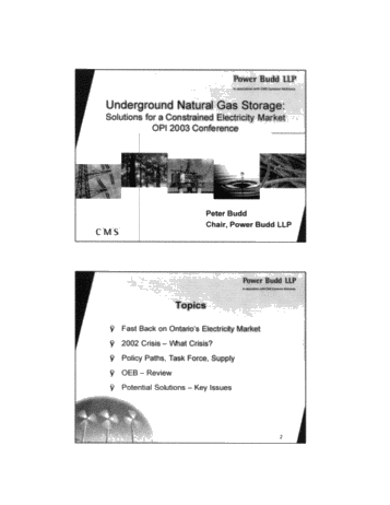 Underground Natural Gas Storage: Solutions for a Constrained Electricity Market Page 1