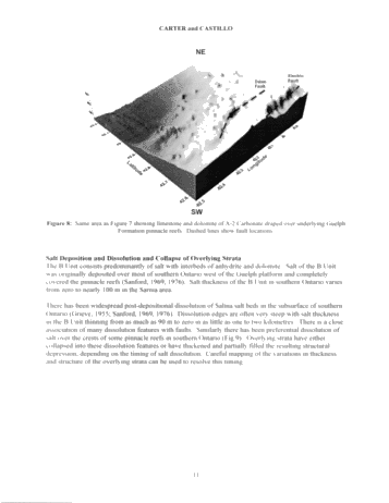 3D Mapping in the Subsurfact of Southern Ontario Using GIS and Digital Petroleum Well Data Page 11