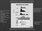 Use of Iodine Surface Geochemistry for Exploration of Silurian Reefs in the Illinois and Michigan Basins Page 2