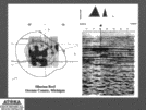 Use of Iodine Surface Geochemistry for Exploration of Silurian Reefs in the Illinois and Michigan Basins Page 27
