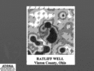 Use of Iodine Surface Geochemistry for Exploration of Silurian Reefs in the Illinois and Michigan Basins Page 29