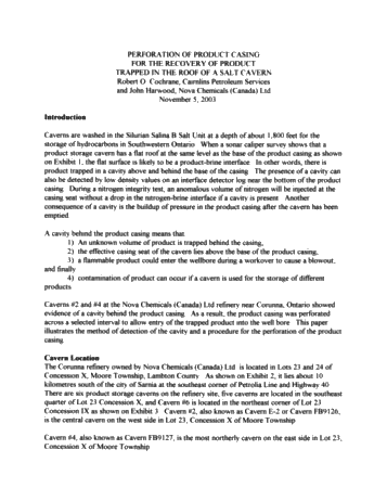 Symposium - Perforation of Product Casing for the Recovery of Product Trapped in the Roof of a Salt Cavern Page 1