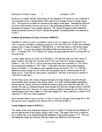 Symposium - Perforation of Product Casing for the Recovery of Product Trapped in the Roof of a Salt Cavern Page 2