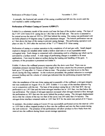Symposium - Perforation of Product Casing for the Recovery of Product Trapped in the Roof of a Salt Cavern Page 3