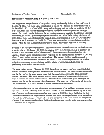 Symposium - Perforation of Product Casing for the Recovery of Product Trapped in the Roof of a Salt Cavern Page 6