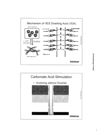 VDA - Viscoelastic Diverting Agent Page 2
