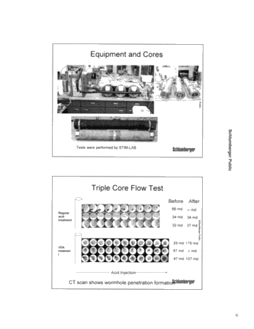 VDA - Viscoelastic Diverting Agent Page 6