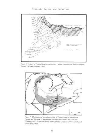 Trenton Black River hydrothermal Dolomite Reservoirs in Ontario: An Assessment of Remaining Potential After 100 Years of Production Page 19