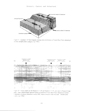 Trenton Black River hydrothermal Dolomite Reservoirs in Ontario: An Assessment of Remaining Potential After 100 Years of Production Page 21
