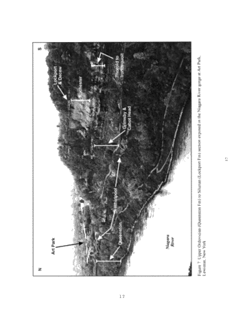Regional Stratigraphic Synthesis for the Paleozoic of Southern Ontario: An Updated Framework for Ontario's Oil and Gas Industry Page 17