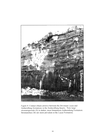 Regional Stratigraphic Synthesis for the Paleozoic of Southern Ontario: An Updated Framework for Ontario's Oil and Gas Industry Page 18