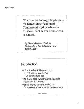 N2Vision Technology Application for Direct Identification of Commerical Hydrocarbons in Trenton-Black River Formations of Ontairo Page 2