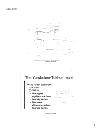 N2Vision Technology Application for Direct Identification of Commerical Hydrocarbons in Trenton-Black River Formations of Ontairo Page 9