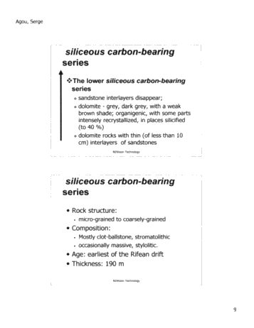 N2Vision Technology Application for Direct Identification of Commerical Hydrocarbons in Trenton-Black River Formations of Ontairo Page 10