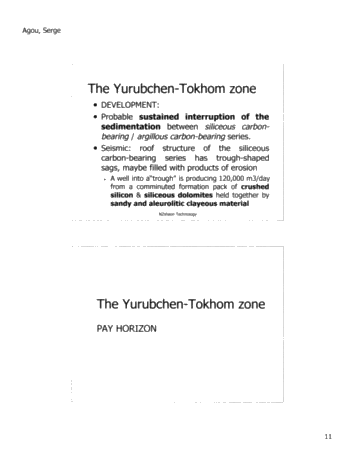 N2Vision Technology Application for Direct Identification of Commerical Hydrocarbons in Trenton-Black River Formations of Ontairo Page 12