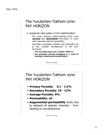 N2Vision Technology Application for Direct Identification of Commerical Hydrocarbons in Trenton-Black River Formations of Ontairo Page 13
