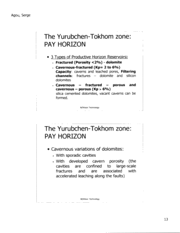N2Vision Technology Application for Direct Identification of Commerical Hydrocarbons in Trenton-Black River Formations of Ontairo Page 14