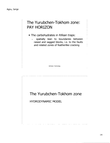 N2Vision Technology Application for Direct Identification of Commerical Hydrocarbons in Trenton-Black River Formations of Ontairo Page 15