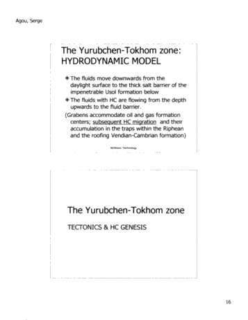 N2Vision Technology Application for Direct Identification of Commerical Hydrocarbons in Trenton-Black River Formations of Ontairo Page 17